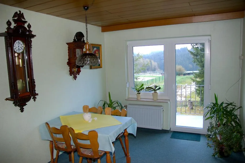 Pension Bayerwald Spiegelau 3*,  Deutschland